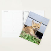 2024 Rode Vos Kit Planner (Display)
