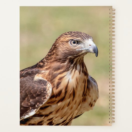 2024 Roodstaarthavik Planner (Achterkant)