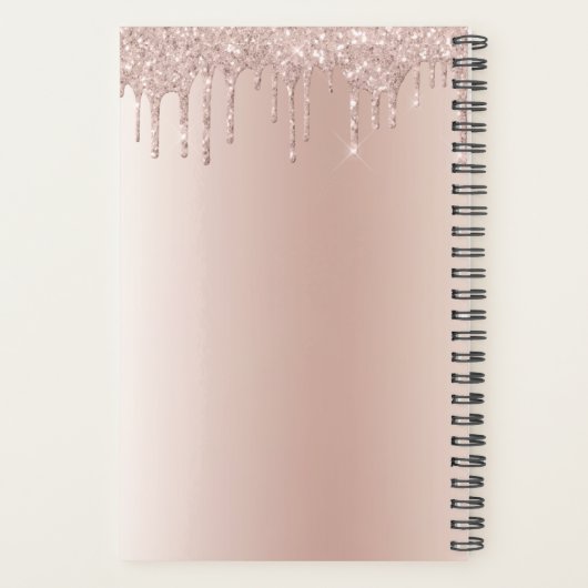 2024 Roos Gold - Blush Pink Girly Glitter Monogram Planner (Achterkant)
