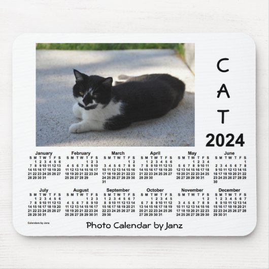 2024 Sassy Cat Photo Calendar van Janz Muismat (Voorkant)