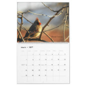 2024 Schilderachtig Connecticut Kalender (Mar 2027)