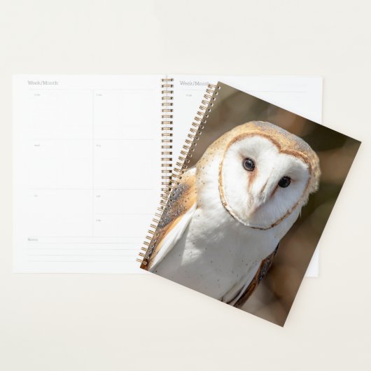 2024 Schuuruil Planner (Display)