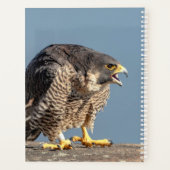 2024 slechtvalk planner (Achterkant)