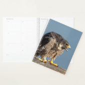 2024 slechtvalk planner (Display)