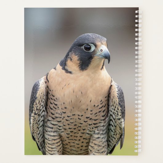 2024 slechtvalk planner (Achterkant)