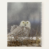 2024 Sneeuwuil Planner (Achterkant)