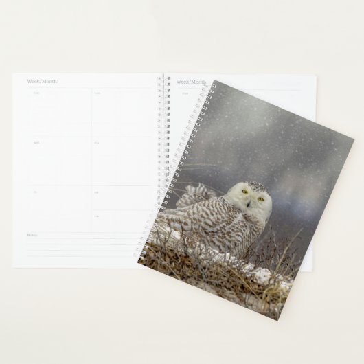 2024 Sneeuwuil Planner (Display)
