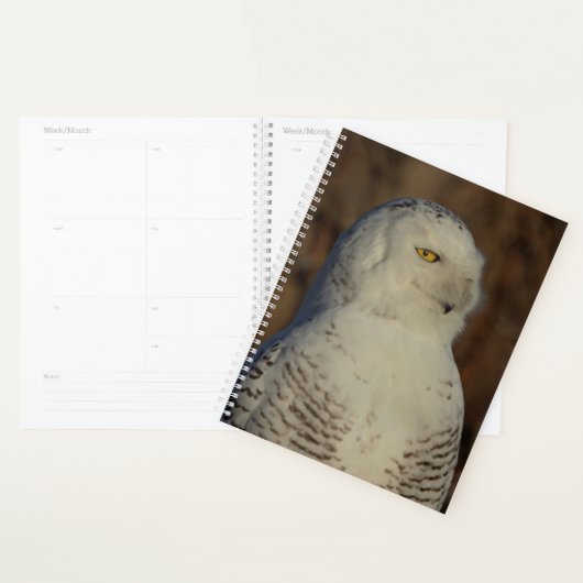 2024 Sneeuwuil Planner (Display)