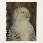 2024 Sneeuwuil Planner (Voorkant)