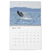 2024 Southern Resident Killer Whale Kalender (Feb 2027)