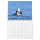 2024 Southern Resident Killer Whale Kalender (Jan 2027)