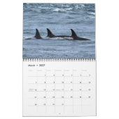 2024 Southern Resident Killer Whale Kalender (Mar 2027)