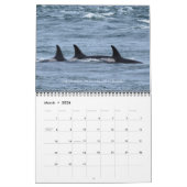 2024 Southern Resident Killer Whale Kalender (Mar 2026)