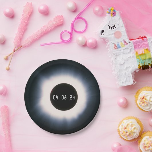 2024 Totaal zonnepanelen in zwart-wit Papieren Bordje (Feest)