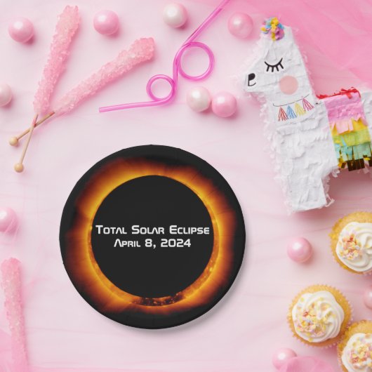 2024 Totaal zonnepanelen Papieren Bordje (Feest)