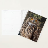 2024 Uil Planner (Display)