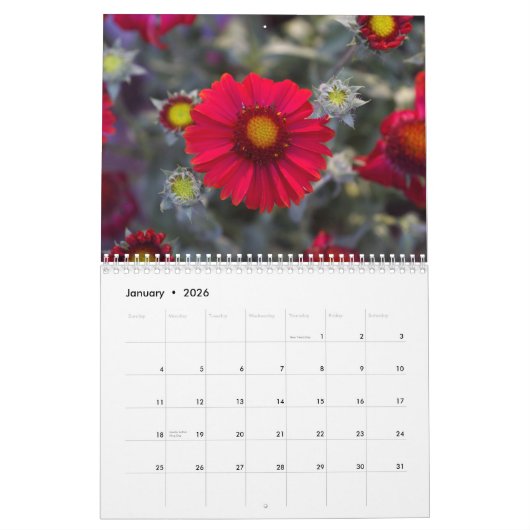 2024 Van Lin's Tuinkalender Kalender (Jan 2026)