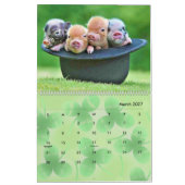 2024 Varkenskalender Kalender (Mar 2027)