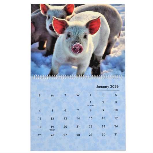 2024 Varkenskalender Kalender (Jan 2026)