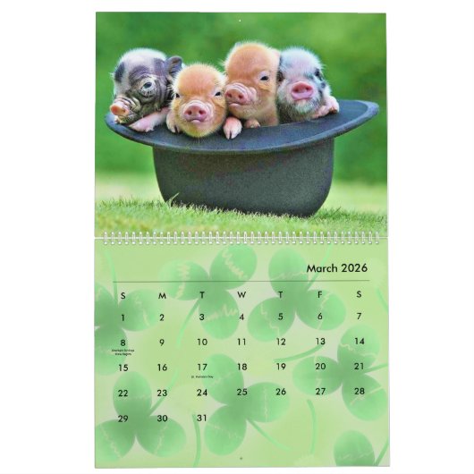 2024 Varkenskalender Kalender (Mar 2026)