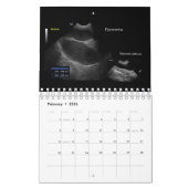 2024 Veterinaire ultrasone beeldvormingskalender Kalender (Feb 2026)