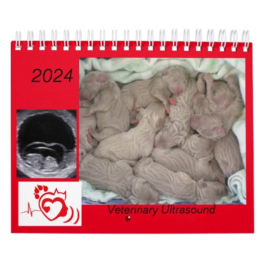 2024 Veterinaire ultrasone beeldvormingskalender Kalender (Hoes)