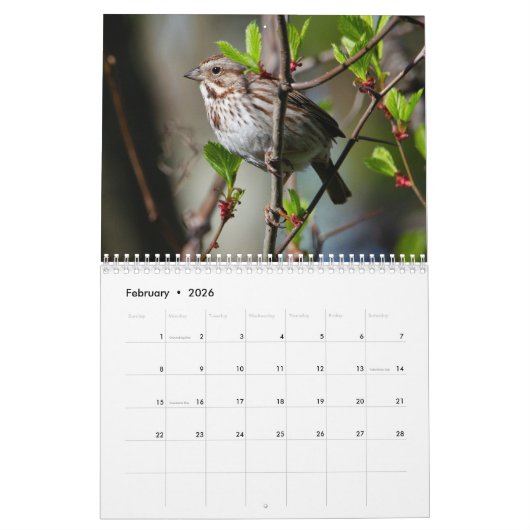 2024 Vogels van Vermont Kalender (Feb 2026)