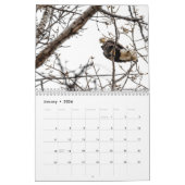 2024 Vogels van Vermont Kalender (Jan 2026)