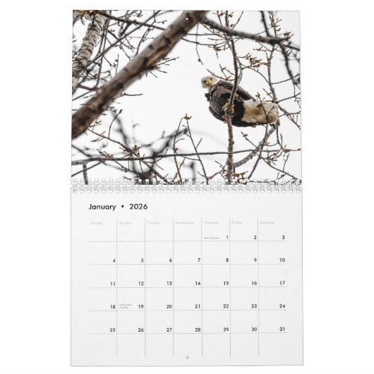 2024 Vogels van Vermont Kalender (Jan 2026)
