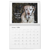 2024 Vrede Liefde & Chocolade Dalmatische Kalender (Jan 2026)