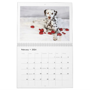 2024 Vrede Liefde & Chocolade Dalmatische Kalender