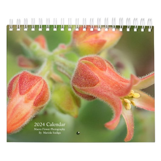 2024 Wandkalender Bloemen in Macro Fotografie Kalender (Hoes)
