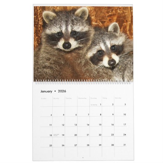 2024 Wasberen van Wild Blue Yonder Kalender (Jan 2026)