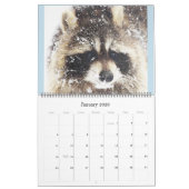 2024 Wasberen van Wild Blue Yonder Wildlife Rescue Kalender (Jan 2026)