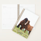2024 Wilde Paard - Planner (Display)