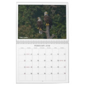 2024 Wildlife Calendar door Kevin Harris Kalender (Feb 2026)