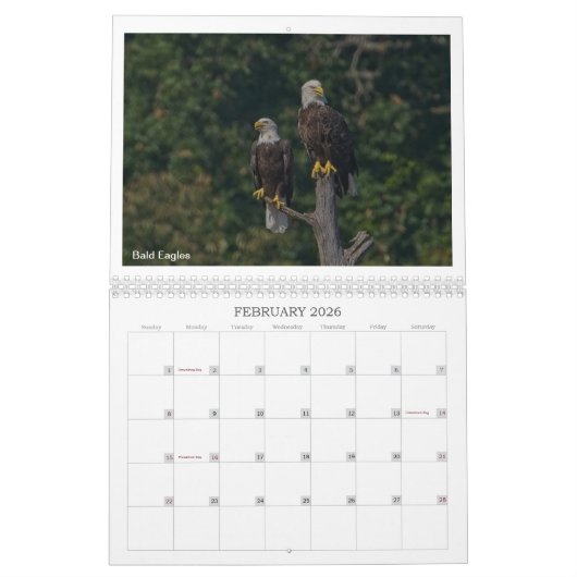 2024 Wildlife Calendar door Kevin Harris Kalender (Feb 2026)