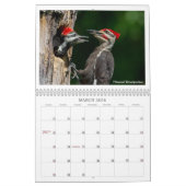 2024 Wildlife Calendar door Kevin Harris Kalender (Mar 2026)