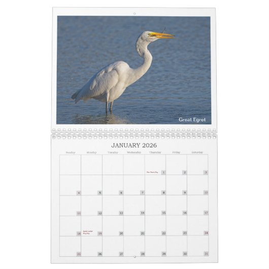 2024 Wildlife Calendar door Kevin Harris Kalender (Jan 2026)
