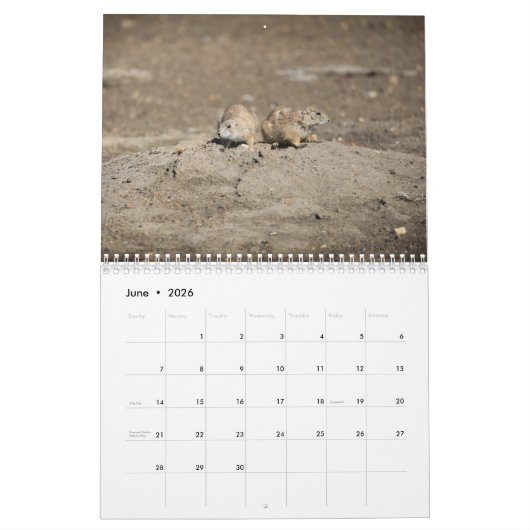 2024 Wildlife Calendar Kalender (Jun 2026)