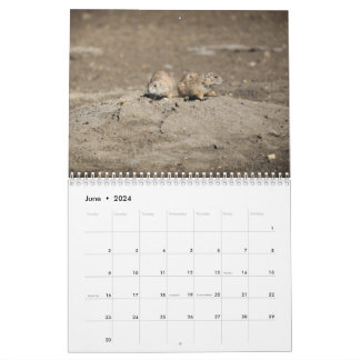 2024 Wildlife Calendar Kalender