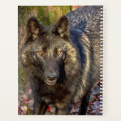 2024 Wolf Planner (Achterkant)