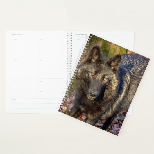 2024 Wolf Planner (Display)