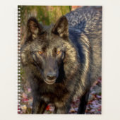 2024 Wolf Planner (Voorkant)
