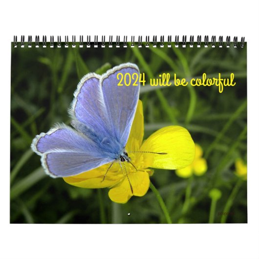 2024 wordt kleurrijke kalender (Hoes)