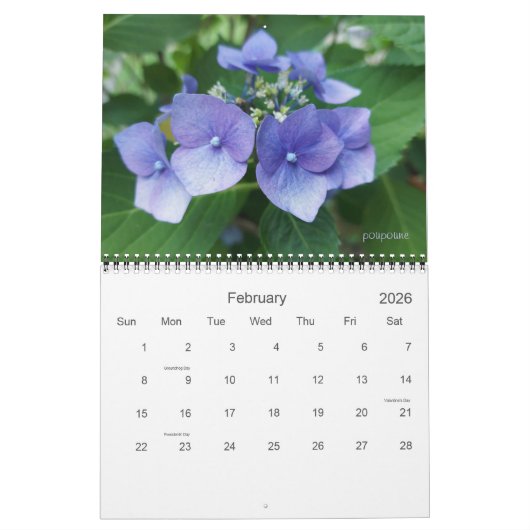 2024 wordt kleurrijke kalender (Feb 2026)