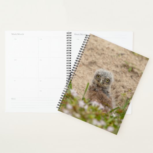 2024 Young Kerkuil Planner (Display)