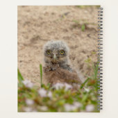 2024 Young Kerkuil Planner (Achterkant)