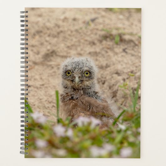 2024 Young Kerkuil Planner (Voorkant)