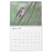 2024 Zangvogels Kalender (Feb 2027)